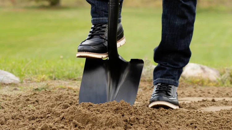 e7c5ba1a-ad5a-4232-9bc6-1a074764c070